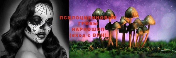 стафф Зеленодольск