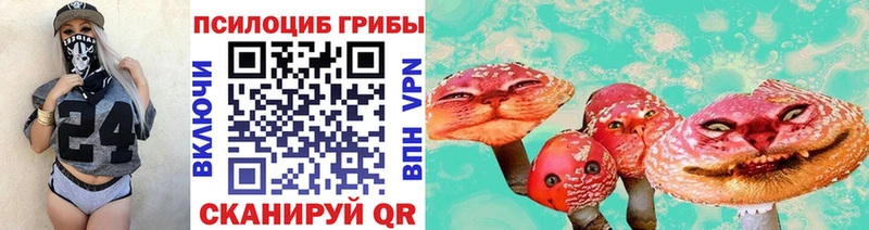 Галлюциногенные грибы Cubensis  Купить  Изобильный 